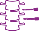 Spondylochirurgie